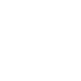 proffesional services icon